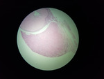 MISSING THUMBNAIL